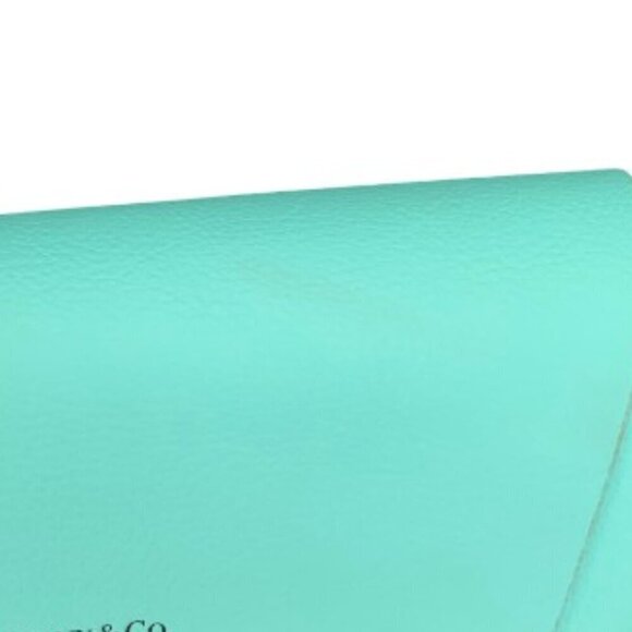 Tiffany & Co Eyeglass Sunglasses Case Magnetic Closure with Microfiber Cloth - Picture 8 of 8